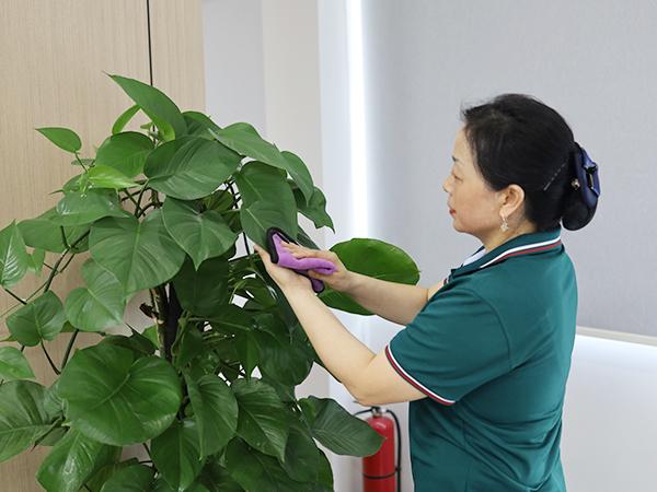 你真的了解保潔嗎？